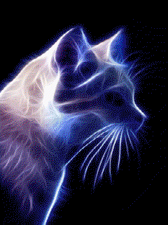 Los Gatos son Reikistas
