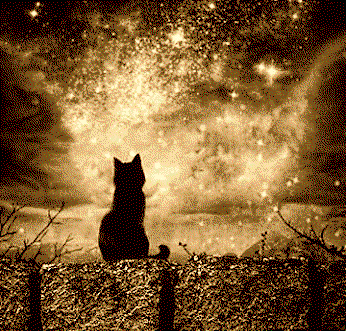 Los Gatos: Nuestros Guardianes Espirituales