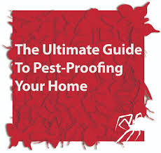 PEST PROOFING YOUR HOME