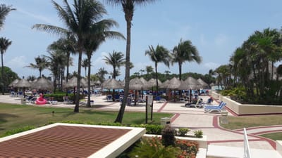 Vendredi 17 Mai : Cancún - Paris - Toulouse