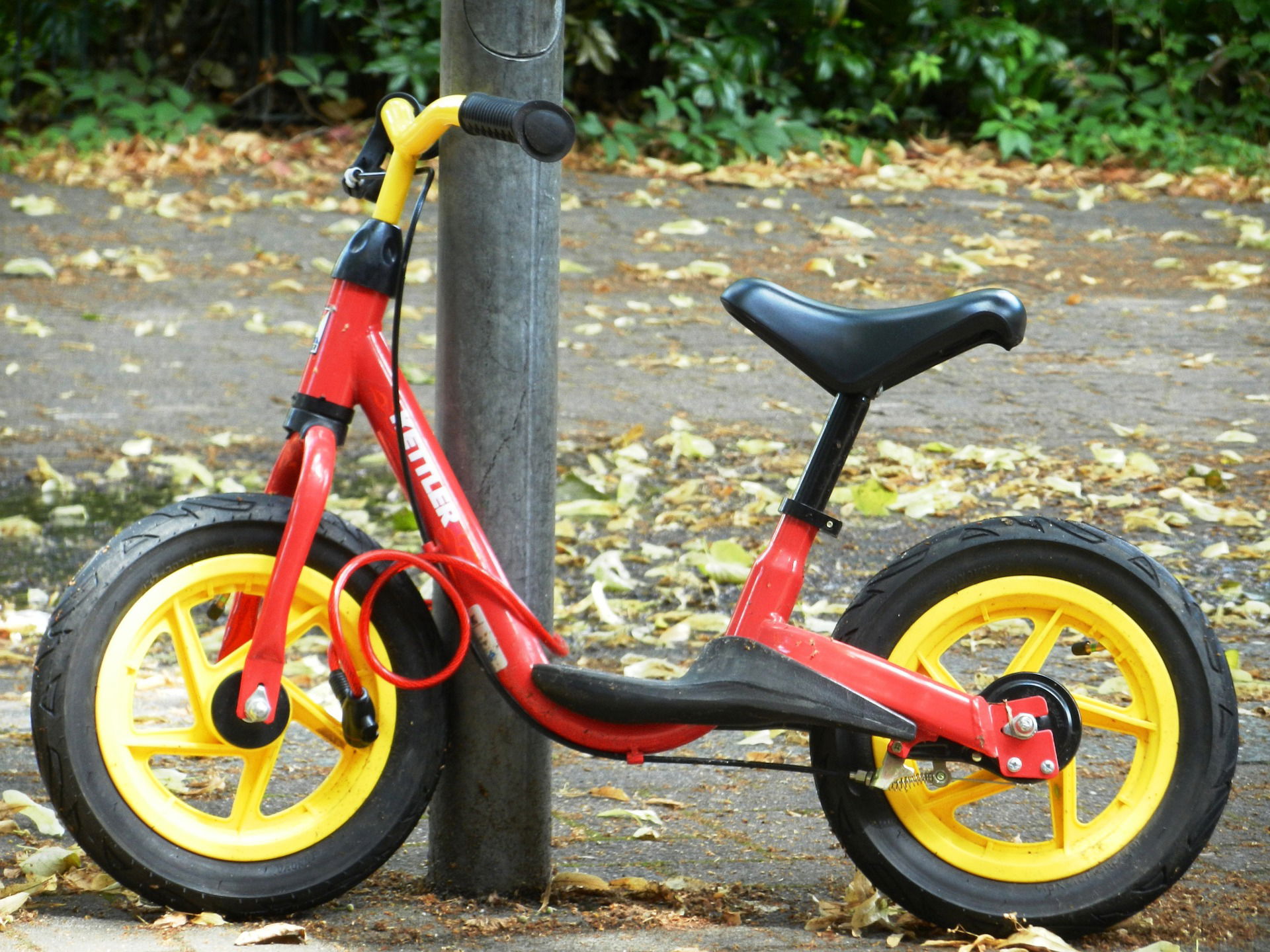 Balance Bike for Kid can be Converted Into Three Different Designs!