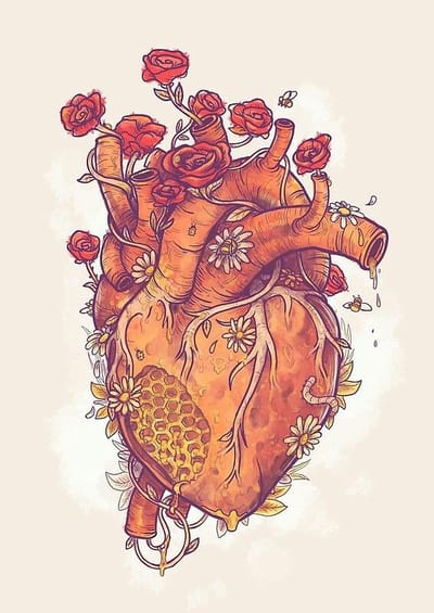 CARDIOLOGÍA image