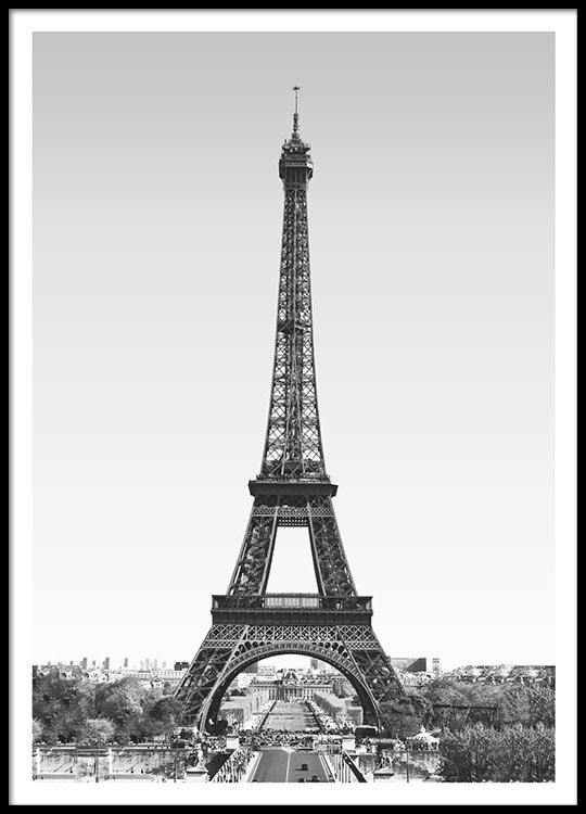 Francese