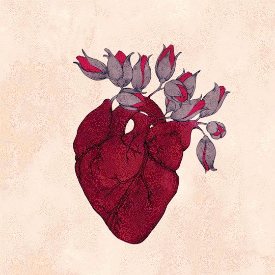 YOUR HEALTH THE PRIORITY