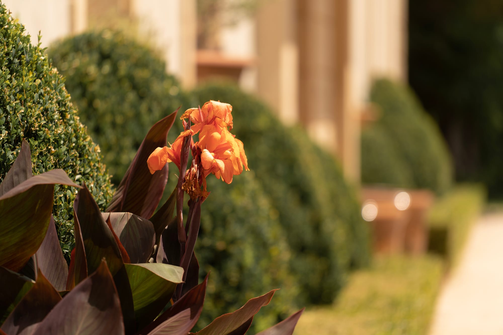 Photographe de mariage Marseille, Provence