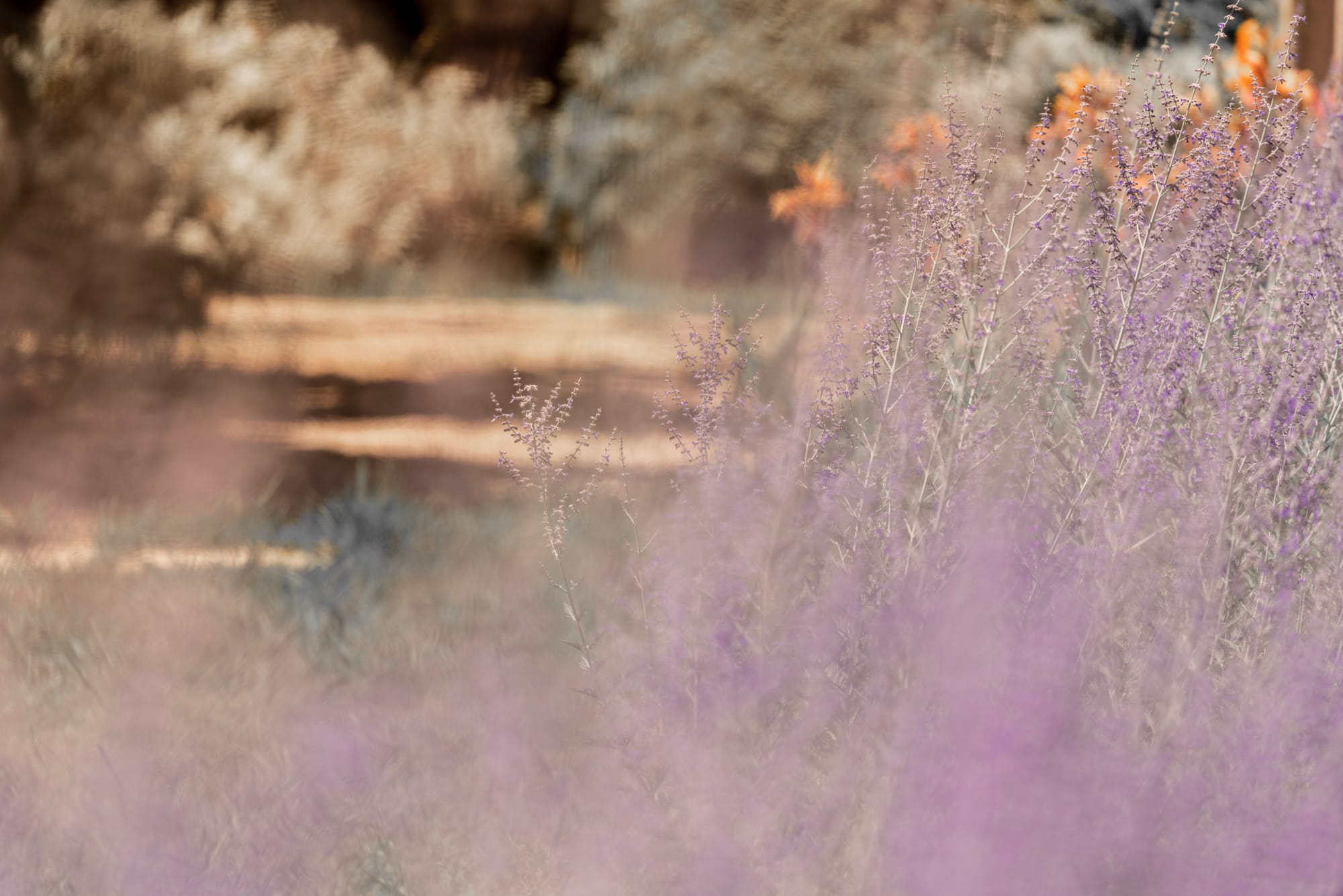 Photographe de mariage Marseille, Provence