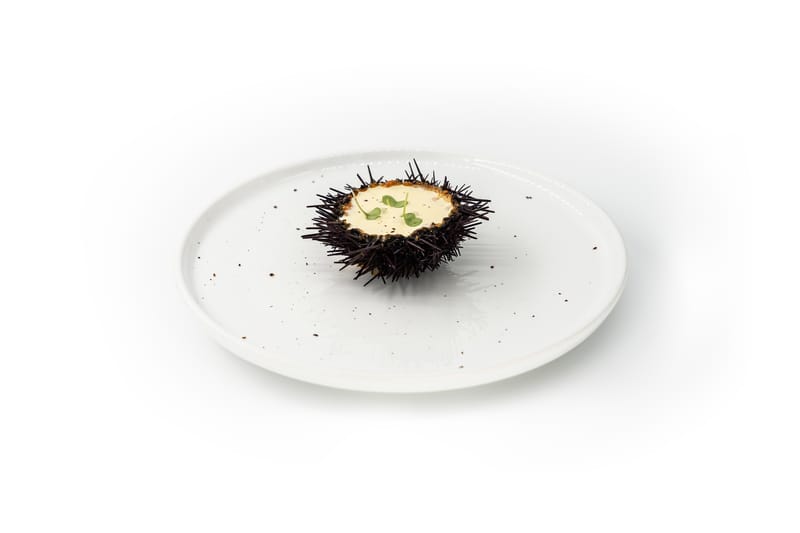 PHOTO CULINAIRE SIMPLE