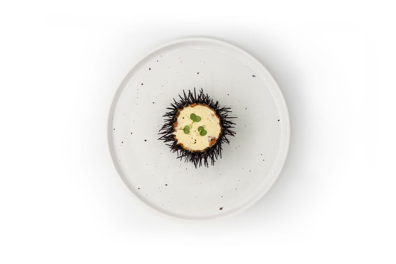 PHOTO CULINAIRE SIMPLE