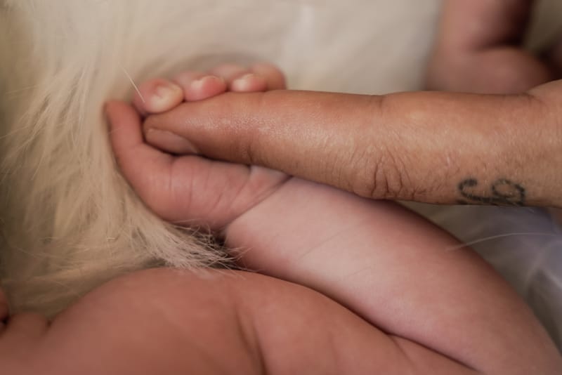 LIFESTYLE & STYLE STUDIO À DOMICILE