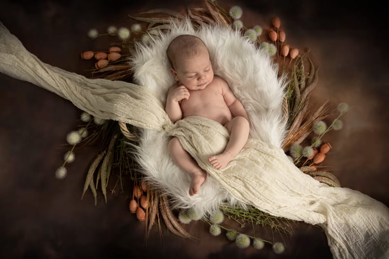 LIFESTYLE & STYLE STUDIO À DOMICILE