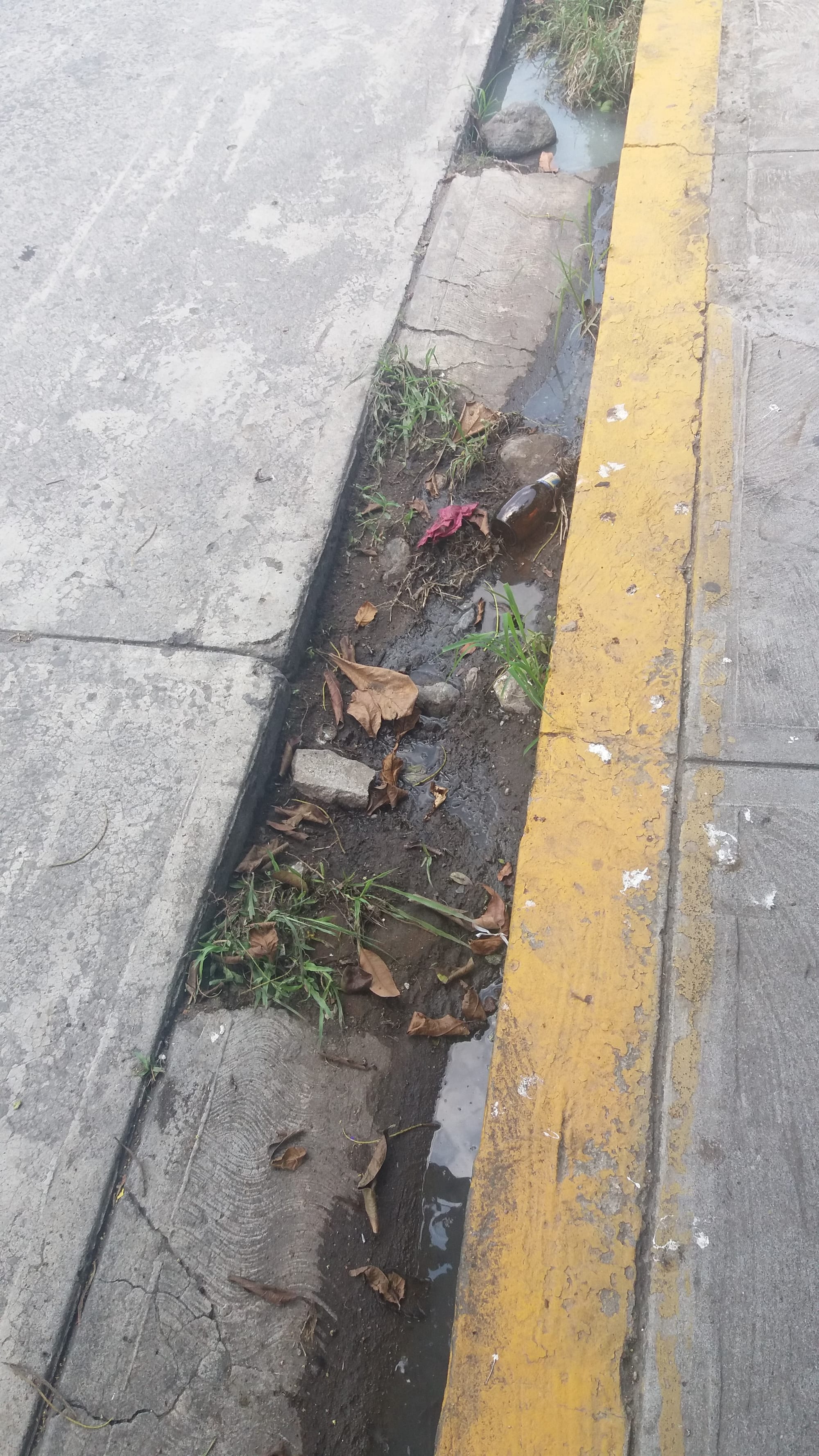 Basura inorgánica a las orillas de las carreteras
