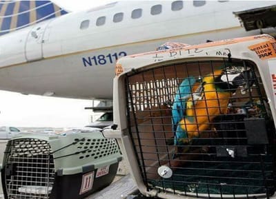 SHIPPING AND CERTIFICATIONS image