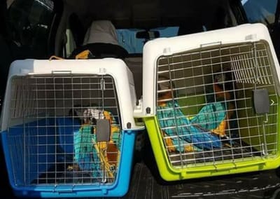 SHIPPING AND CERTIFICATIONS image