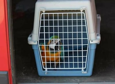 SHIPPING AND CERTIFICATIONS image