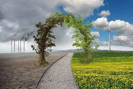 IDEA ESCOGIDA  image