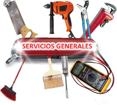 daniservicios al instante