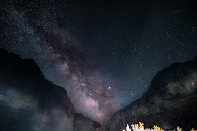 Homeschooling and Enrichment Resources