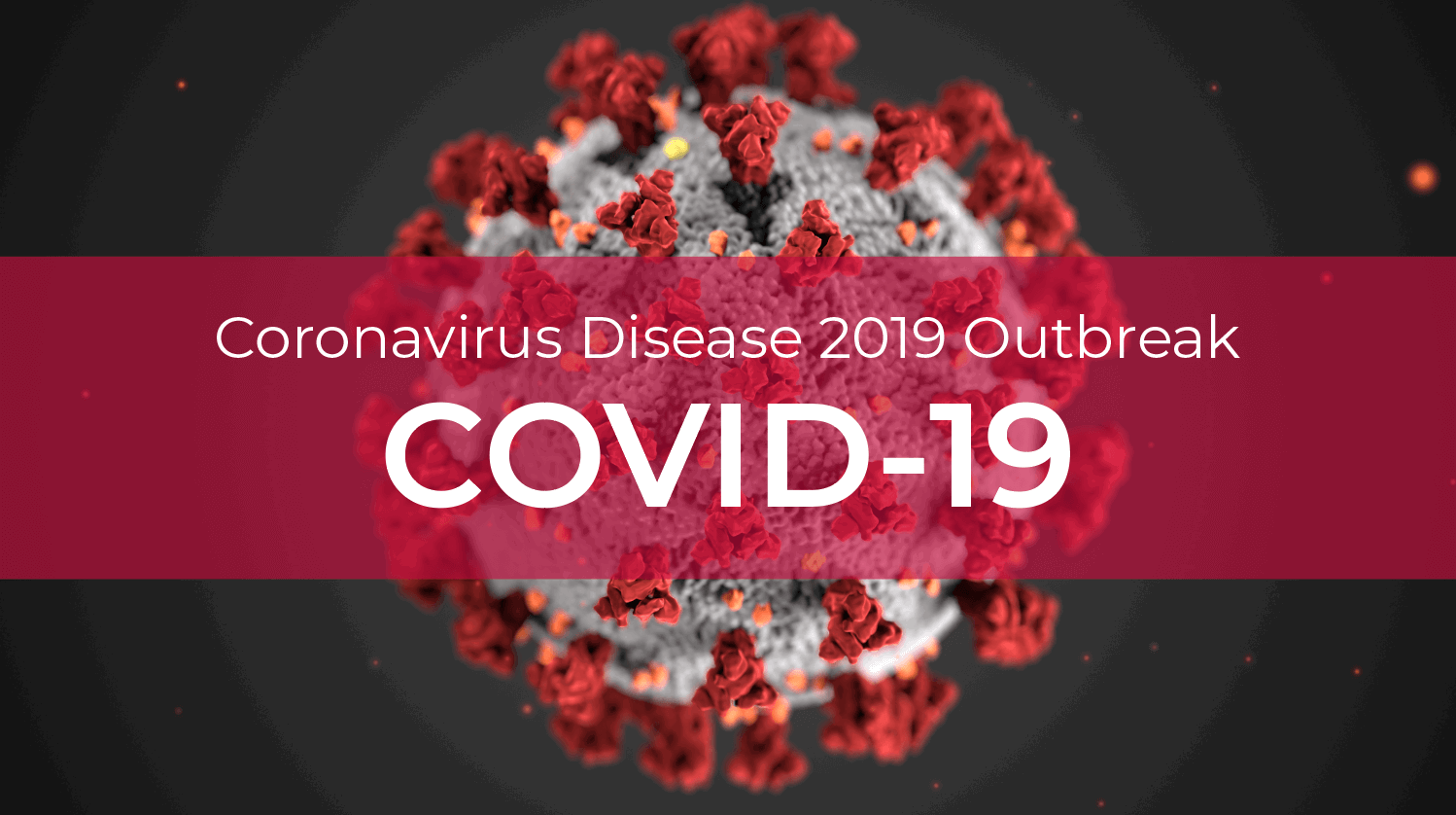 COVID-19 VS Travelling. What should I do?