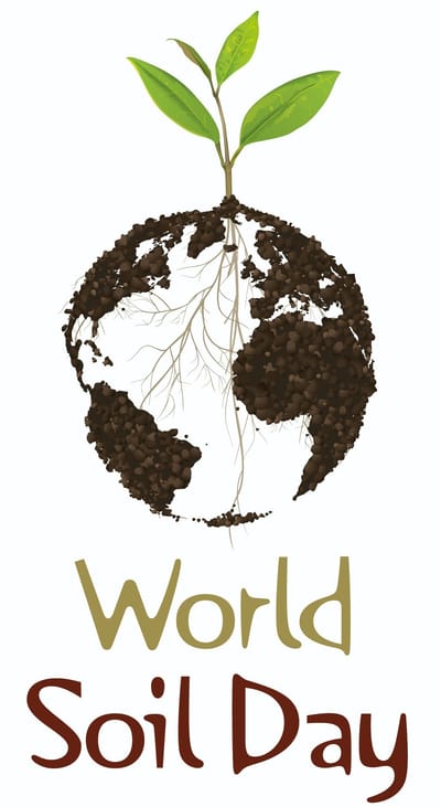 Día Internacional de Conservación del Suelo