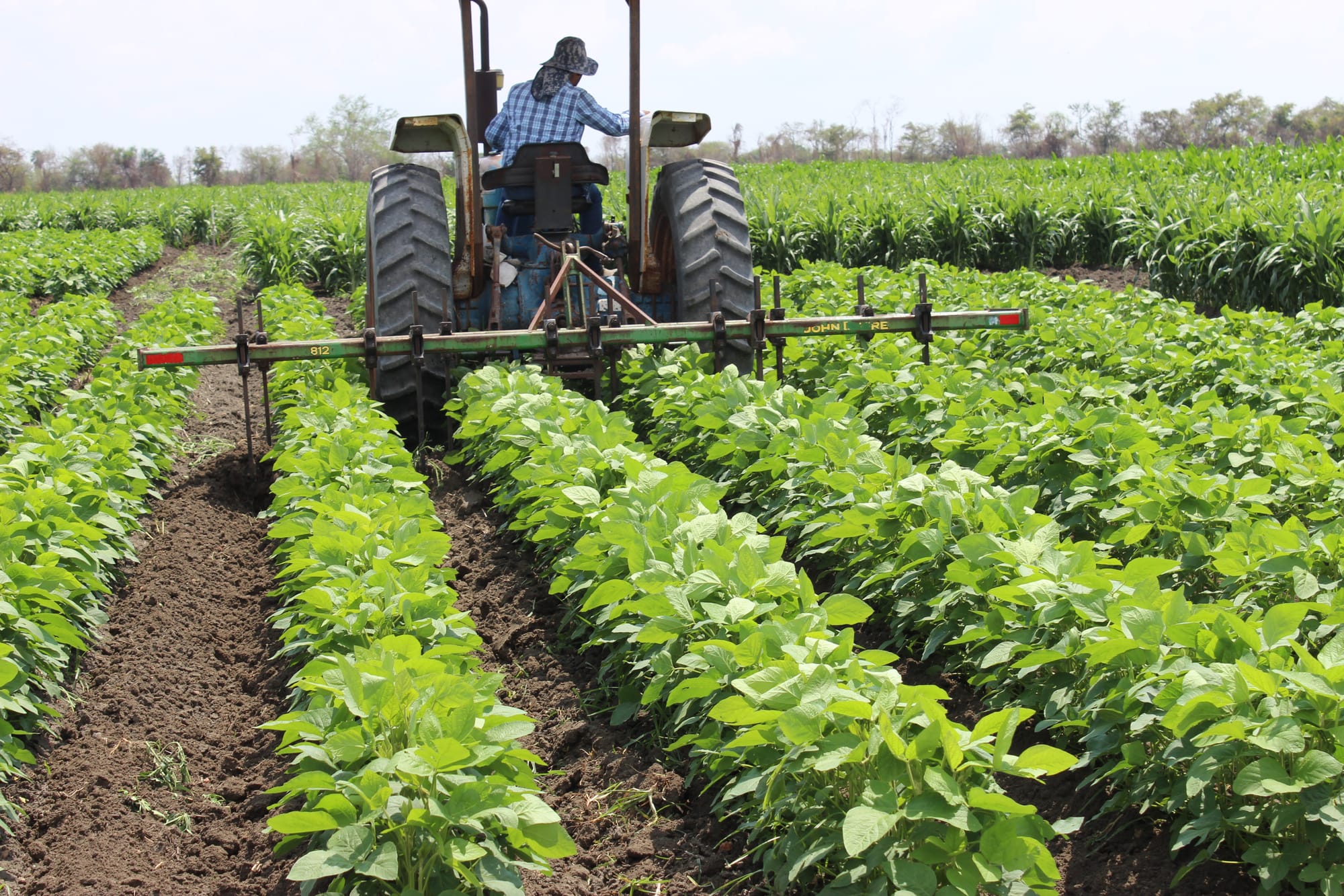 Conservation Agriculture to Mitigate Climate Change