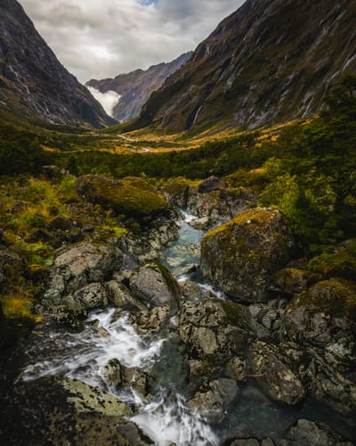 How Do UV Systems Work and Why You Need One for Your Home