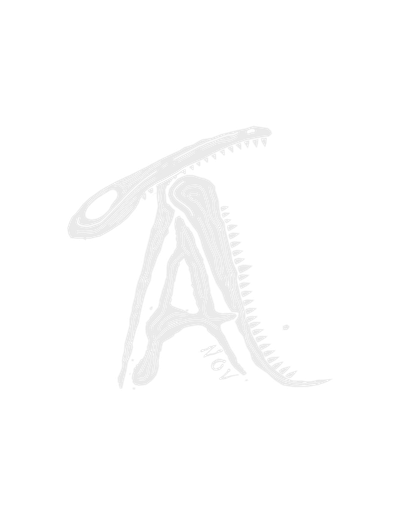 MacroTal