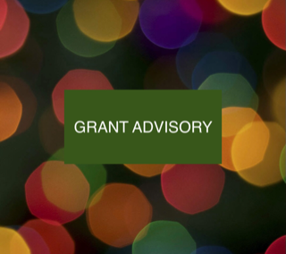 Grant Advisor (Freelance Writer)