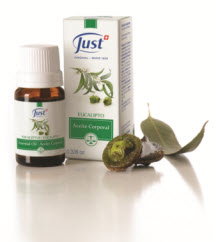 Aceite esencial de Eucalipto