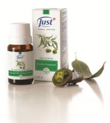 Aceite esencial de Eucalipto