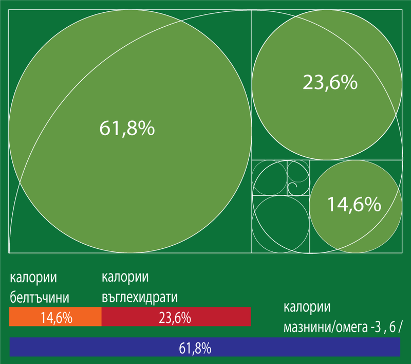 ЗА ПЪРВИ ПЪТ! Диета - Протокол Златното сечение