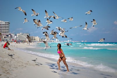 swimwearguide image