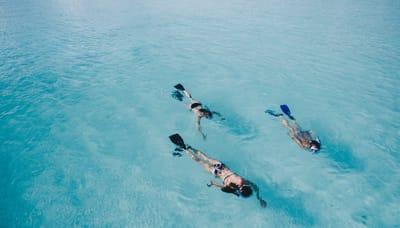 allaboutswimwear image