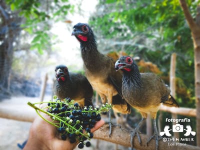 Lo que hacemos image