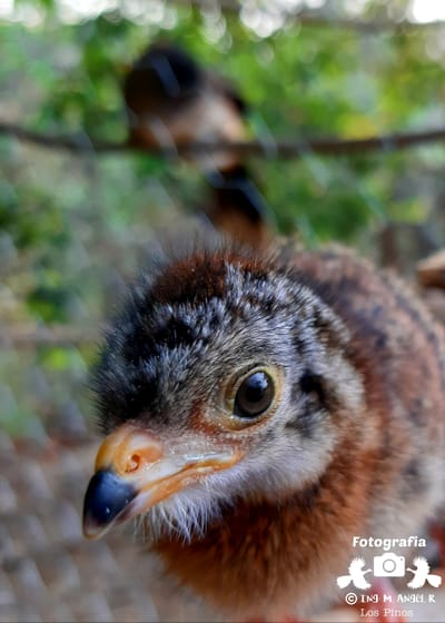 Lo que hacemos image