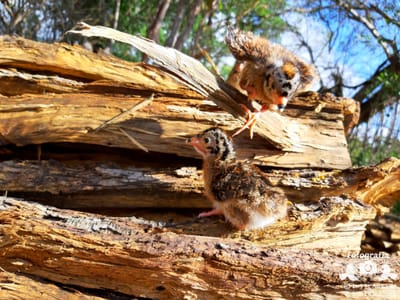 Lo que hacemos image