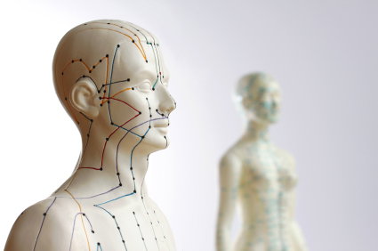 Nikau Room - Lucinda Miln Acupuncturist & Chinese Herbalist