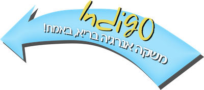 אינדיגו - משקה אנרגיה בריא, באמת!