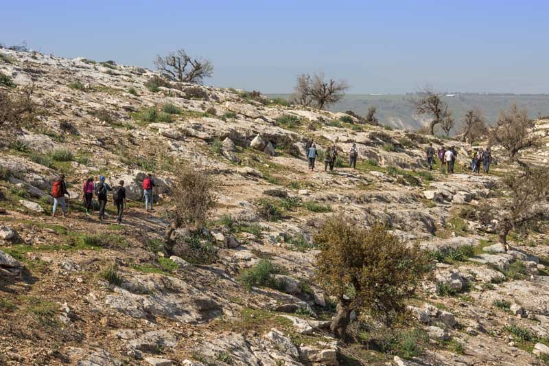 Yarmouk Forest Reserve