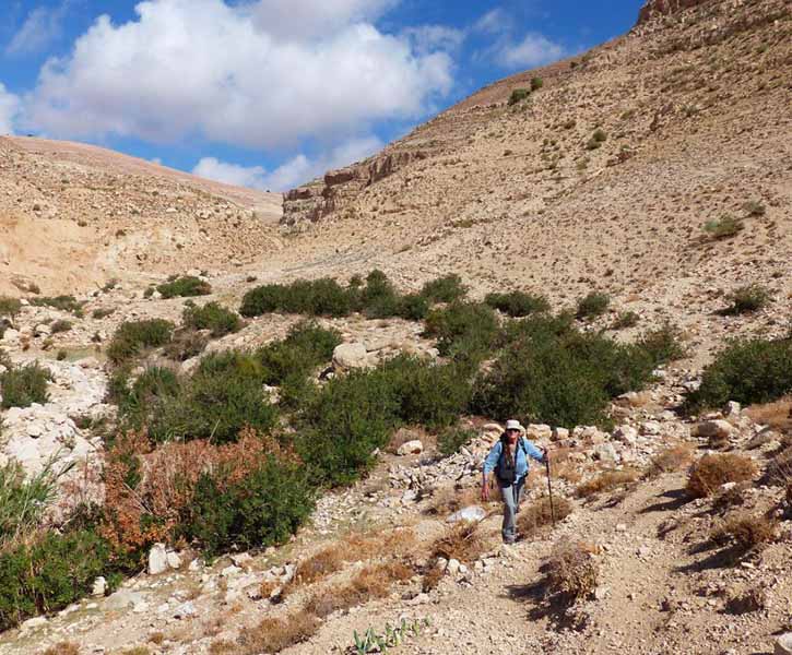 THREE WADIS TO KARAK