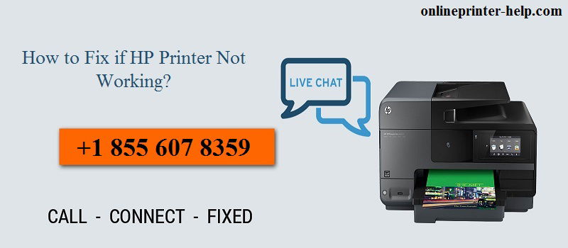 What do to when your HP Printer is printer Not Working ? +1 855 607 8359
