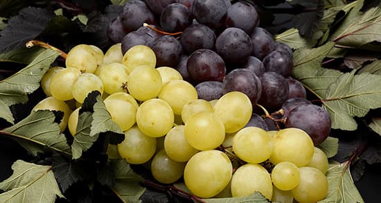 Grape Properties