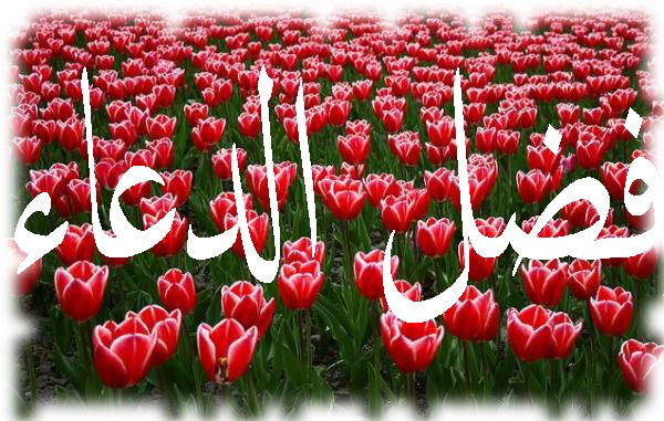 فضل الدعاء