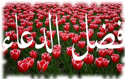 فضل الدعاء