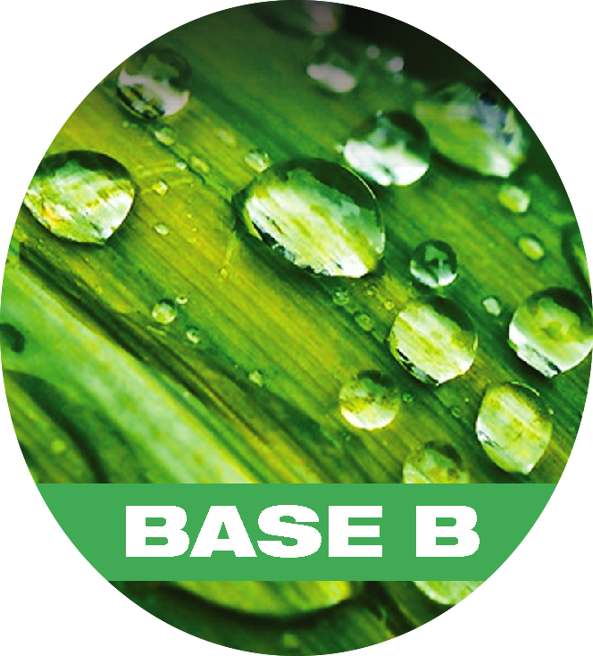 BASE A & B