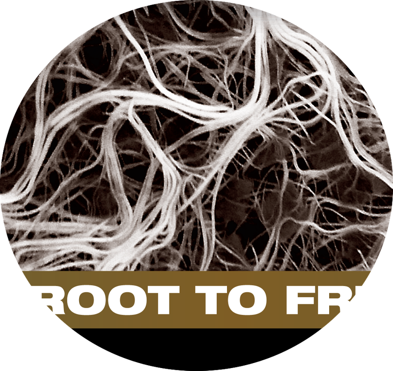 ROOT TO FRUIT