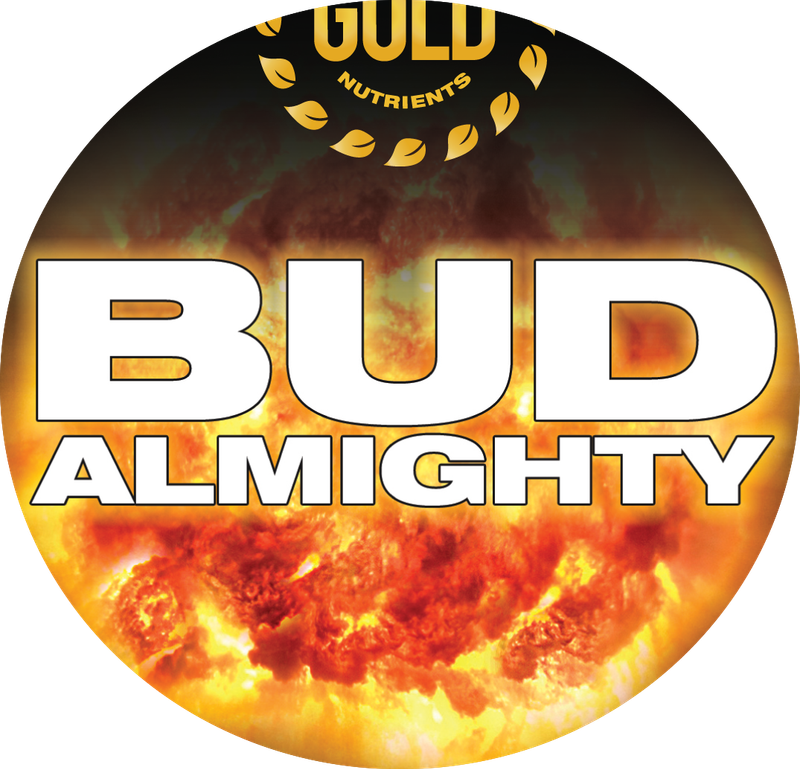 BUD ALMIGHTY