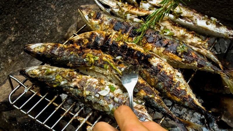 3. Fisch picnic tour