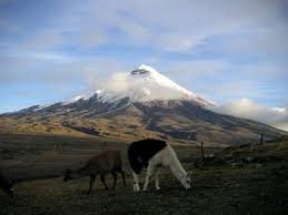 Cotopaxi