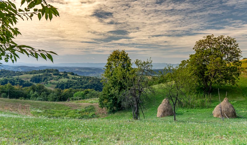 Roşia de Bihor