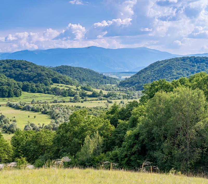 Excursie pe Valea Hirtibaciului